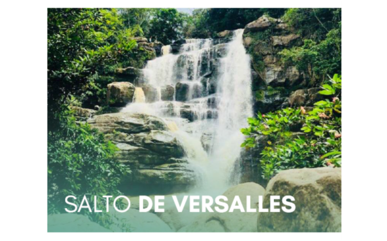 Salto de versalles
